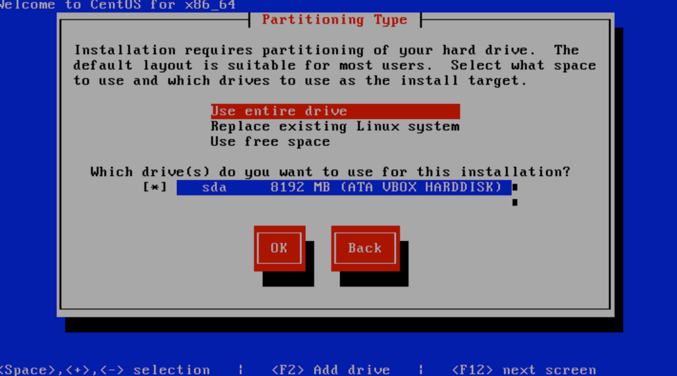 Click "Using entire drive" to continue