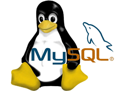 mysql